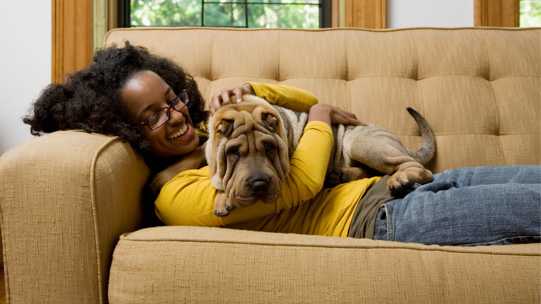 More than half of all renters have at least 1 pet, Zillow finds