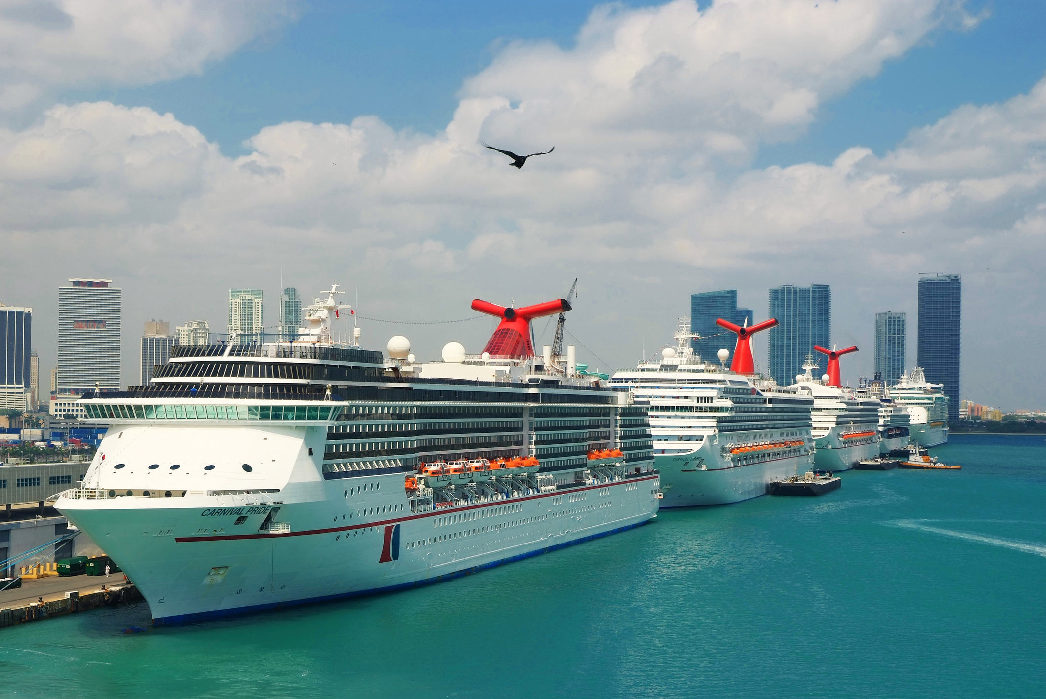 PortMiami’s Cruise Boom: A Beacon of Hope for the Industry’s Future