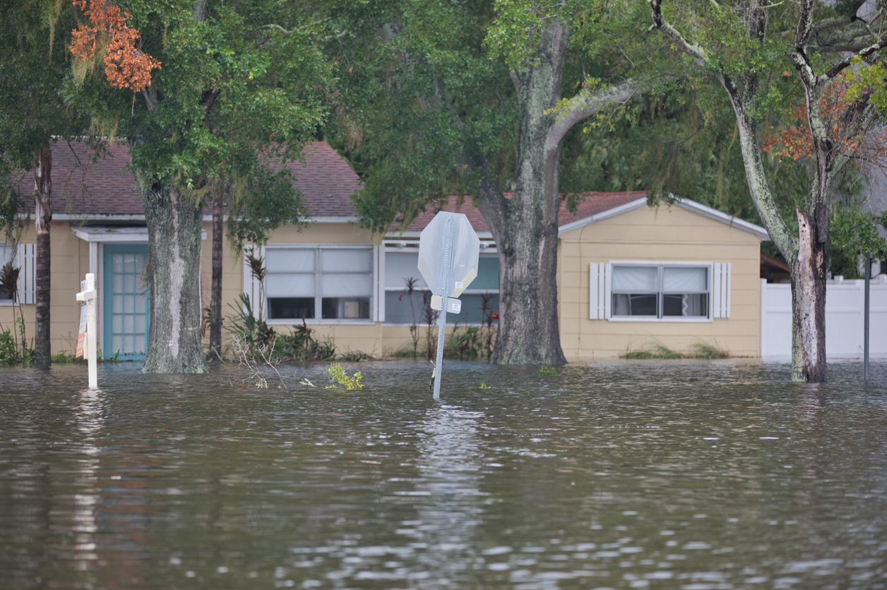 Citizens Insurance Seeks 14% Rate Hike on Florida Policies